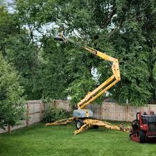 Soil Testing and Treatment in Addison, IL