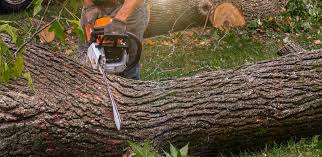 Best Mulching Services  in Addison, IL